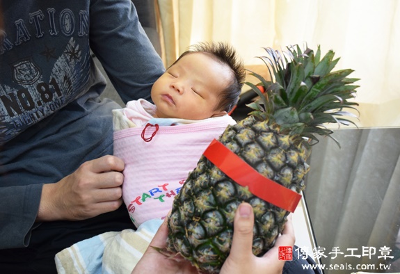 陳寶寶(台中西屯區到府嬰兒寶寶滿月剃頭理髮、免費到府嬰兒剃胎毛儀式吉祥話)。到府剃頭剃胎毛主持、專業拍照、DVD光碟、證書。★購買「臍帶章、肚臍章、胎毛筆刷印章」贈送：剃頭、收涎、抓周，三選一。2015.11.26 照片12
